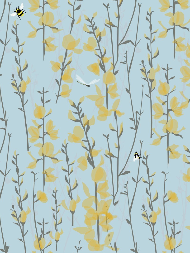 Broom and Bee Sky Roller Blind by Lorna Syson