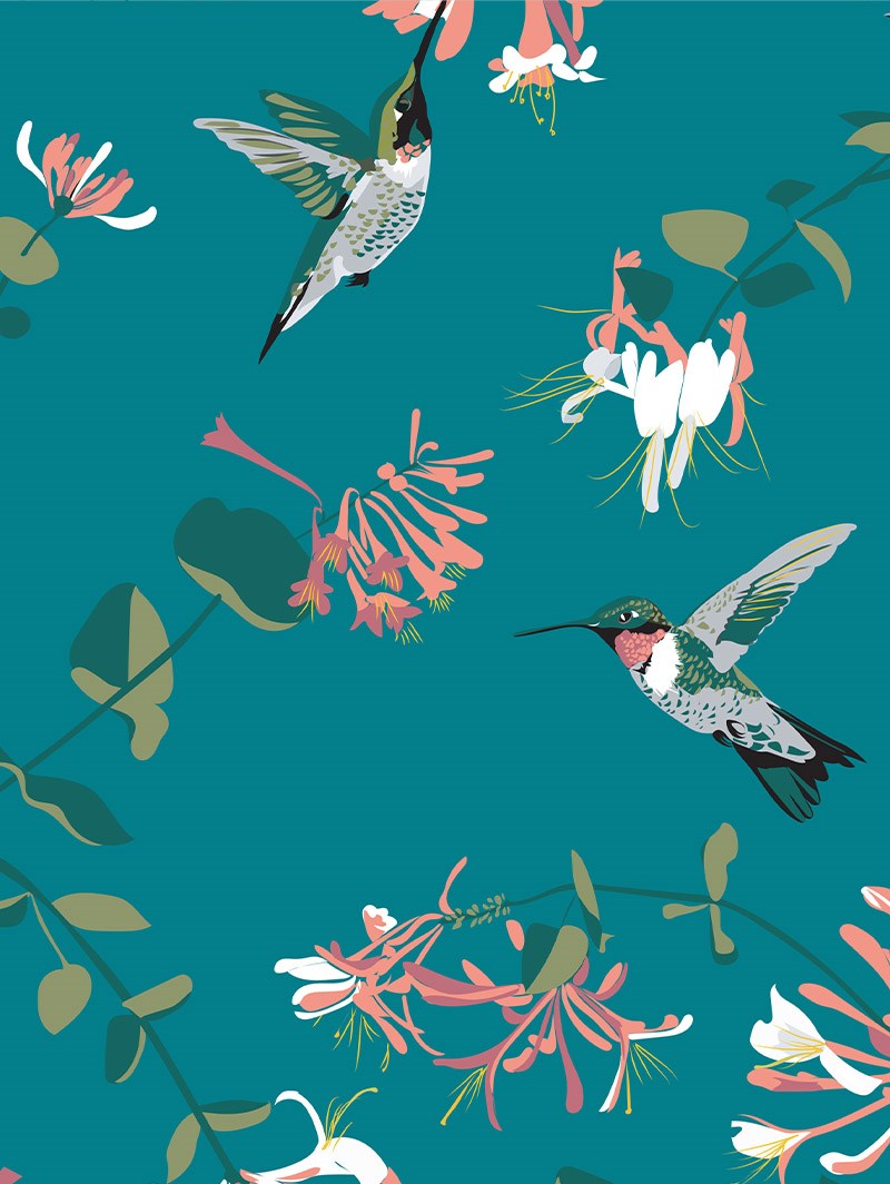 Hummingbird Teal Roller Blind by Lorna Syson