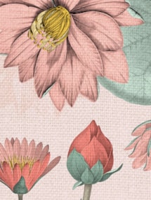 Sacred Lotus Blush Floral Roller Blind by Boon & Blake