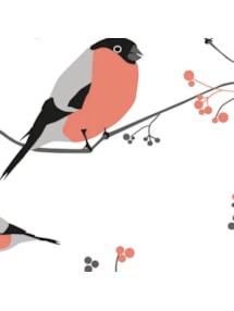 Bullfinch Electric Roller Blind by Lorna Syson