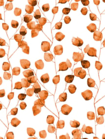 Climbers Orange Floral Roller Blind