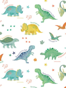 Dinosaur Dance Childrens Roller Blind