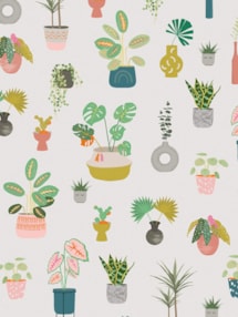 Houseplants Natural Roller Blind