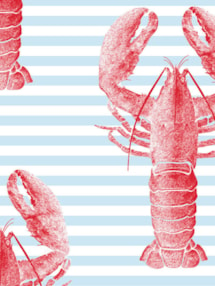 Lobster Red Roller Blind