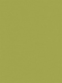 Apple Green Waterproof 89mm Vertical Blind