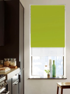 Blackout Lime Green and Sheer White Double Roller Blind