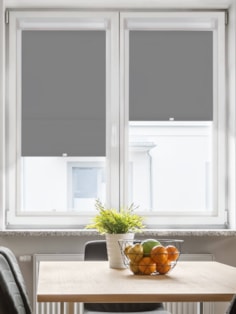 Daylight Ash Perfect Fit Roller Blind