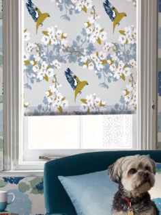 Greenfinch Roller Blind by Lorna Syson