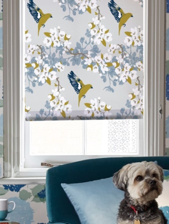 Greenfinch Roller Blind by Lorna Syson