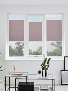 Tripoli Dusky Rose Blackout Perfect Fit Cellular Thermal Blind