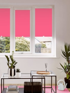 Blackout Guava Perfect Fit Roller Blind