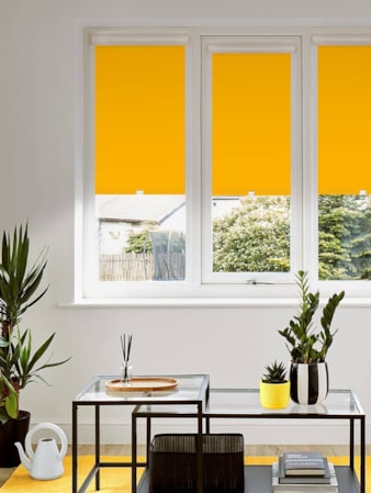 Blackout Sunrise Perfect Fit Roller Blind