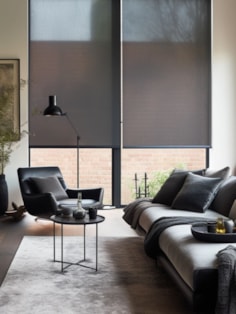 Sheer Black Roller Blind