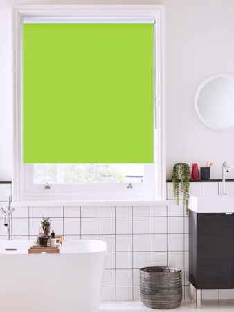 Stem Green Bathroom Roller Blind