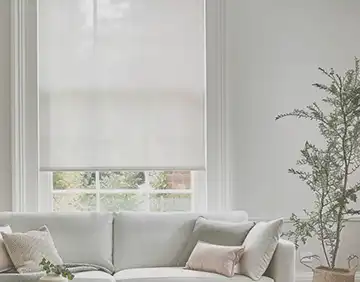 Electric Sheer And Sunscreen Blinds
